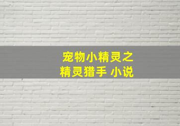 宠物小精灵之精灵猎手 小说